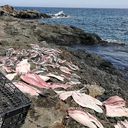 Kokozun 28 公寓 Guatiza