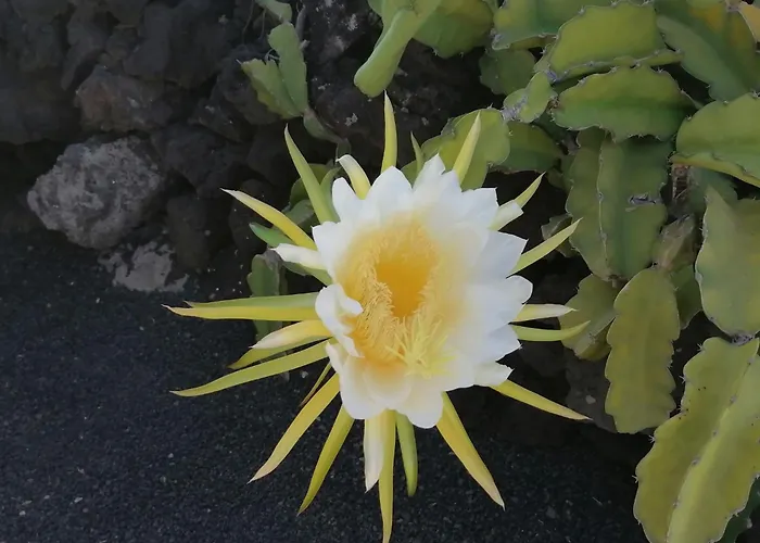 아파트 Kokozun 28 *