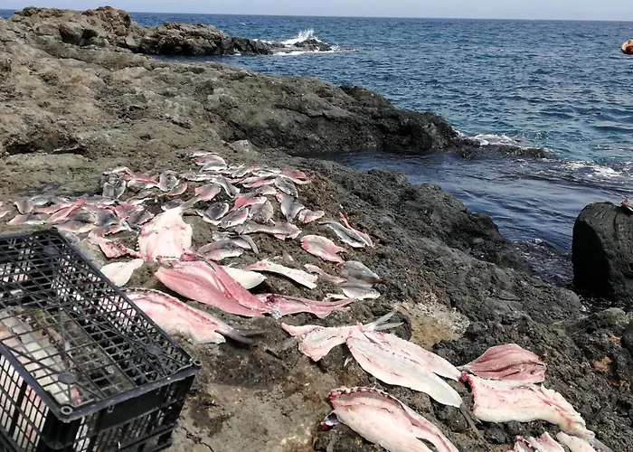 Kokozun 28 아파트 Guatiza