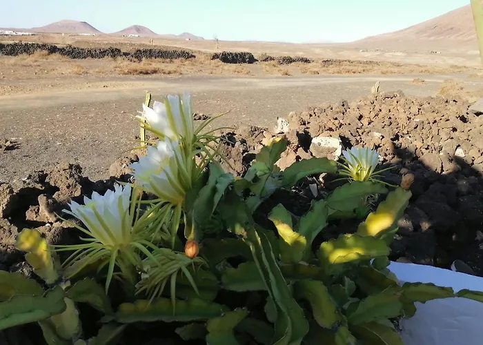 아파트 Kokozun 28 Guatiza