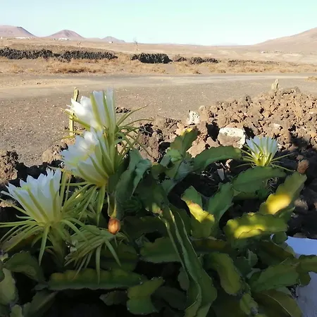 Διαμέρισμα Kokozun 28 Guatiza