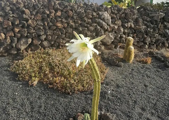 Kokozun 28 Apartment *